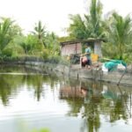 Kisah Mahendra Tingkatkan Produktivitas Hasil Ternak Ikan Berkat Dukungan PT TIMAH Tbk. (Foto: doc. Humas PT Timah Tbk)