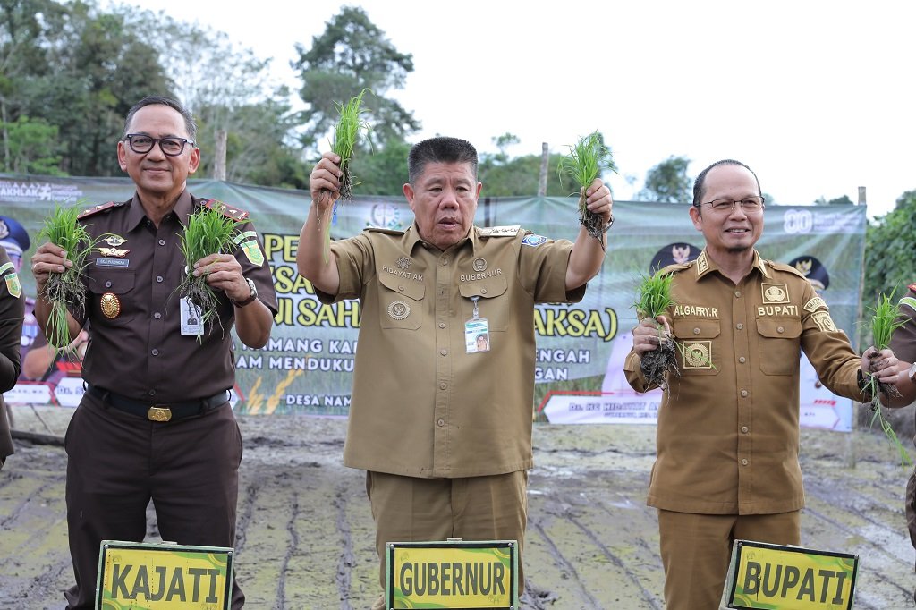 Gubernur Hidayat Arsani Turun ke Sawah, Penanaman Padi untuk Ketahanan Pangan 2026 Dimulai. (Foto: doc. Humas Diskominfo Babel)